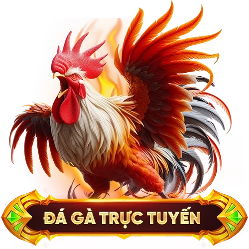 đá gà trực tuyến NET88